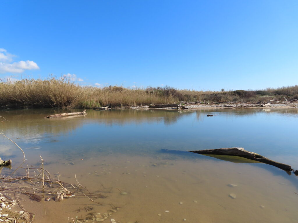Riserva Naturale Foce del Fiume Irminio