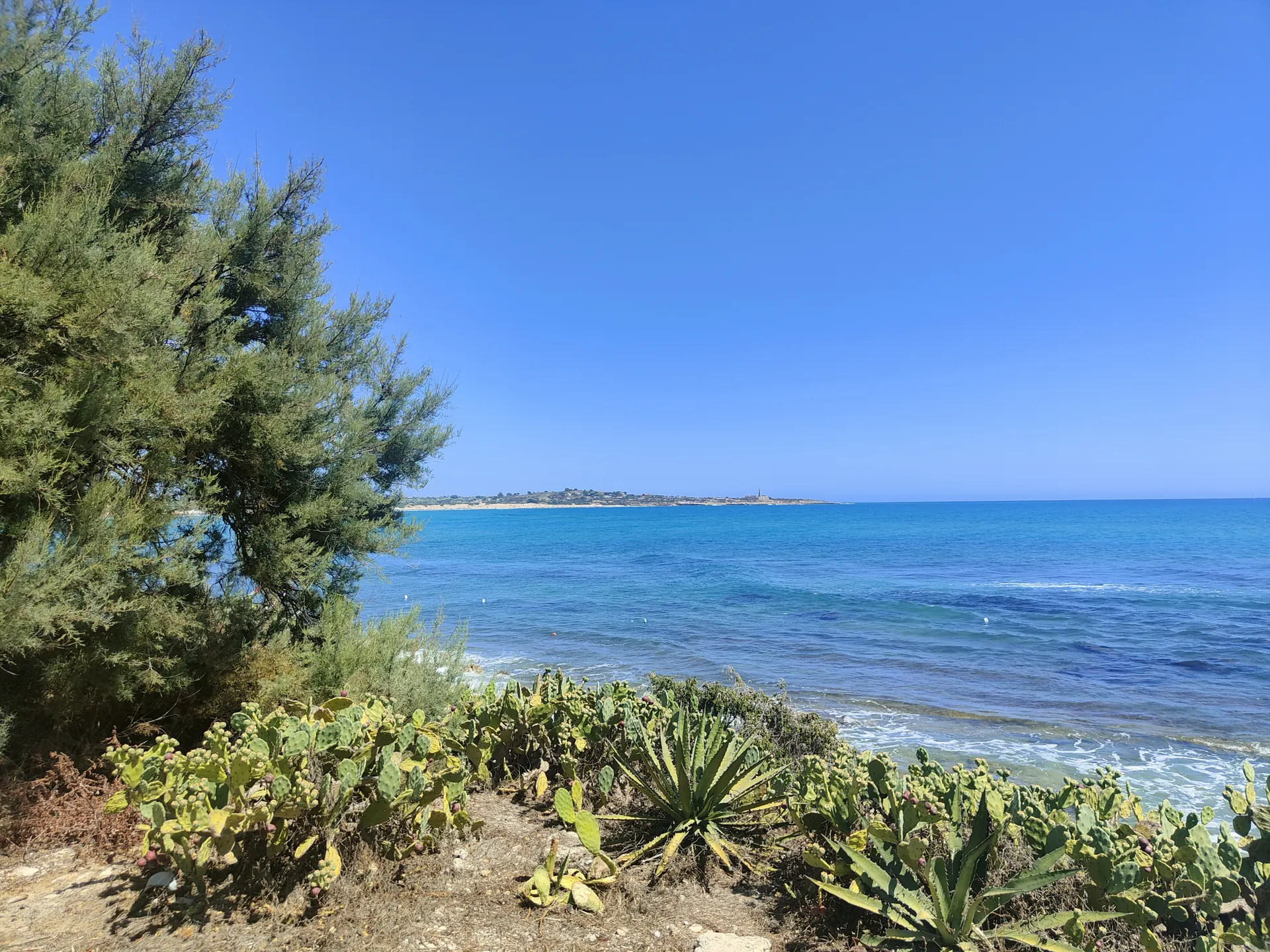 Mare di Sampieri tra tamerici e fichi d’India