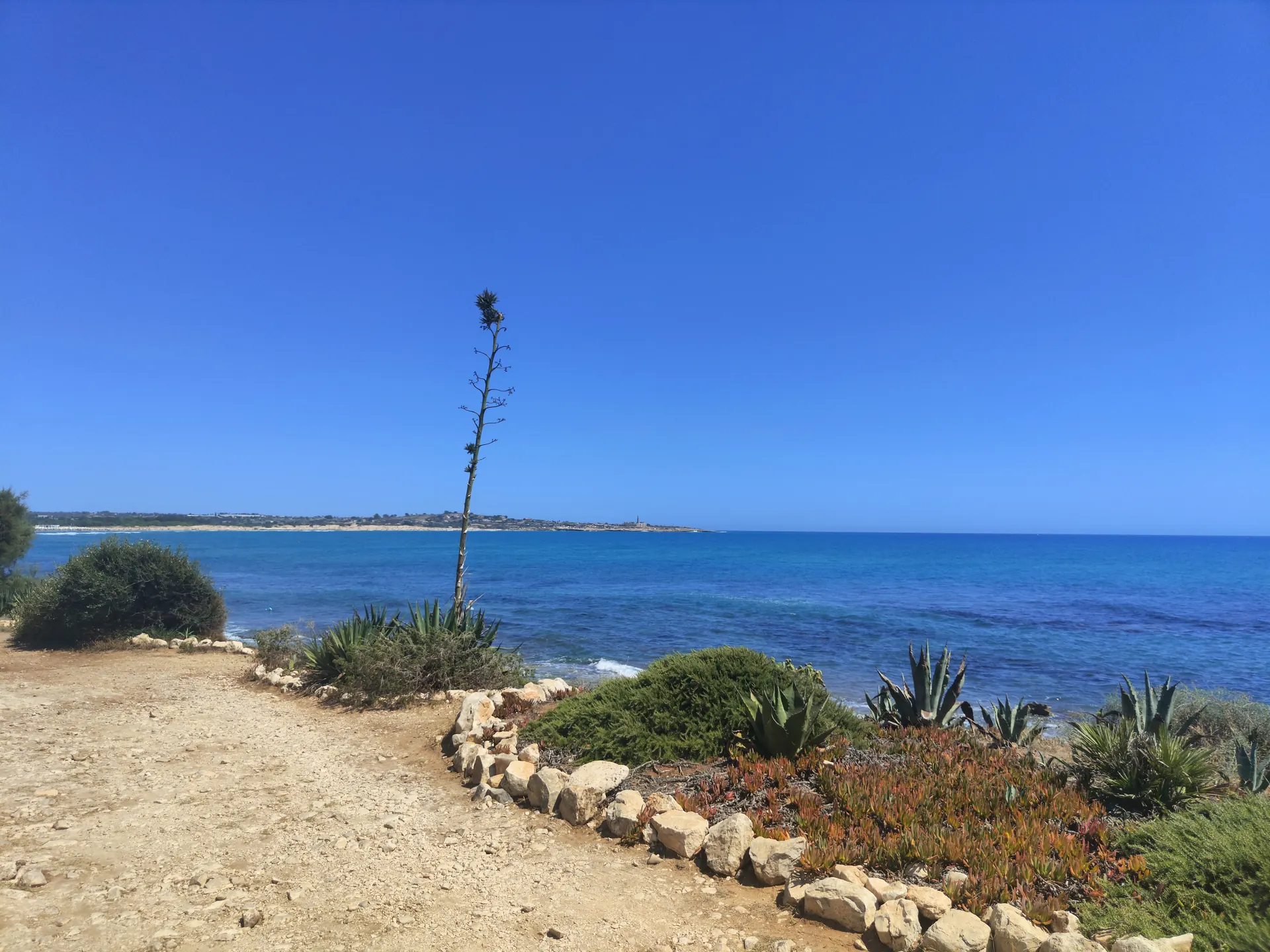 Costa e vegetazione mediterranea a Sampieri